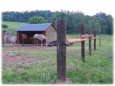 Appaloosa Horse Ranch - ubytovn v Jesenkch, ern Voda